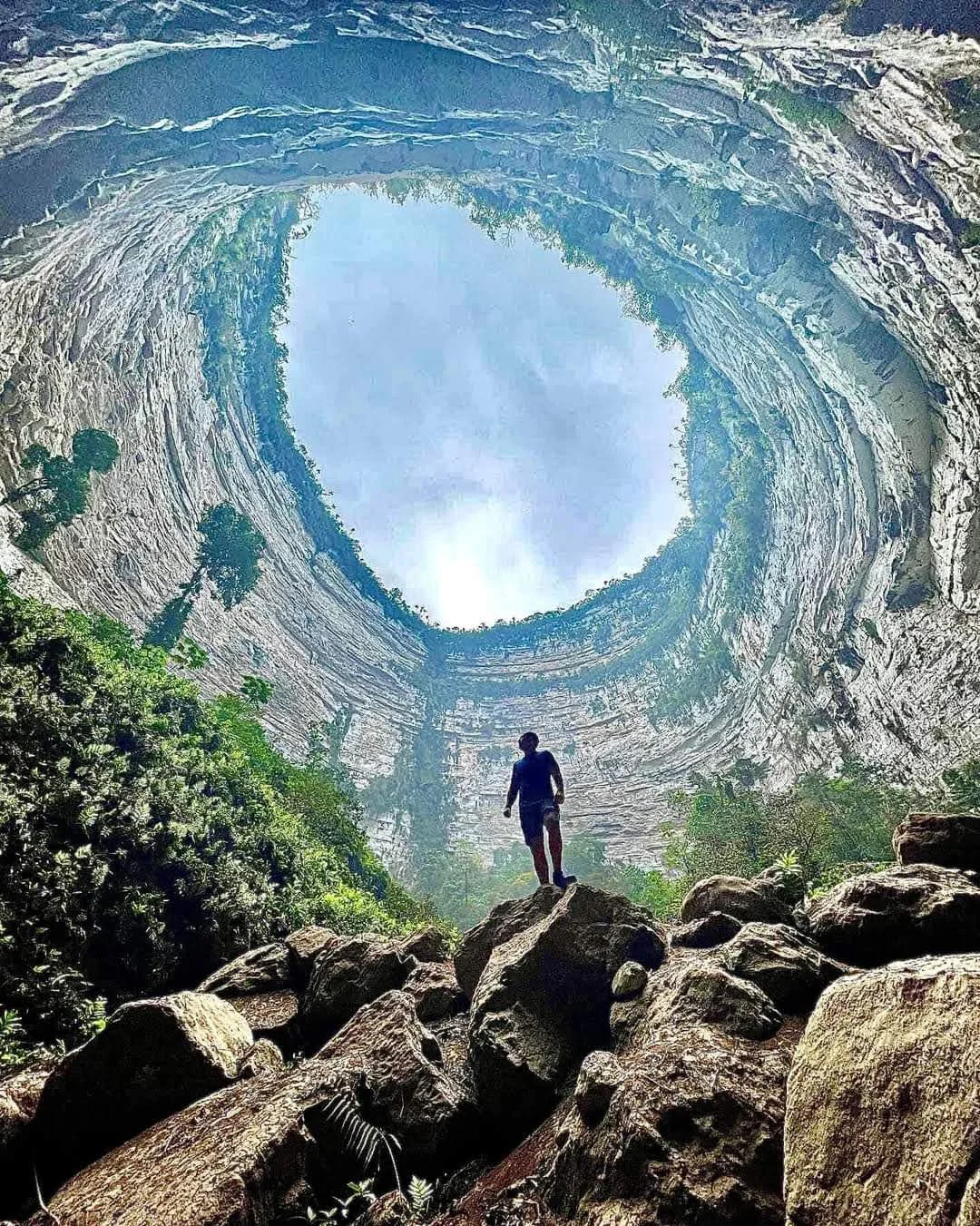 Sinkhole of the Parrots (Sima de las Cotorras)