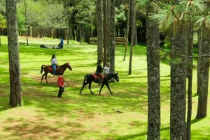 Rancho Nuevo y Arcotete - foto 1