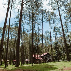 Rancho Nuevo y Arcotete - foto 5