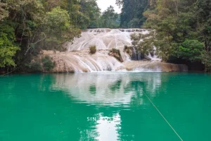 Palenque y Cascadas Roberto Barrios - foto 4