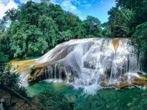 Aluxes y Roberto Barrios - foto 7