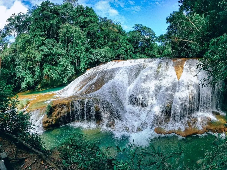 Aluxes y Roberto Barrios