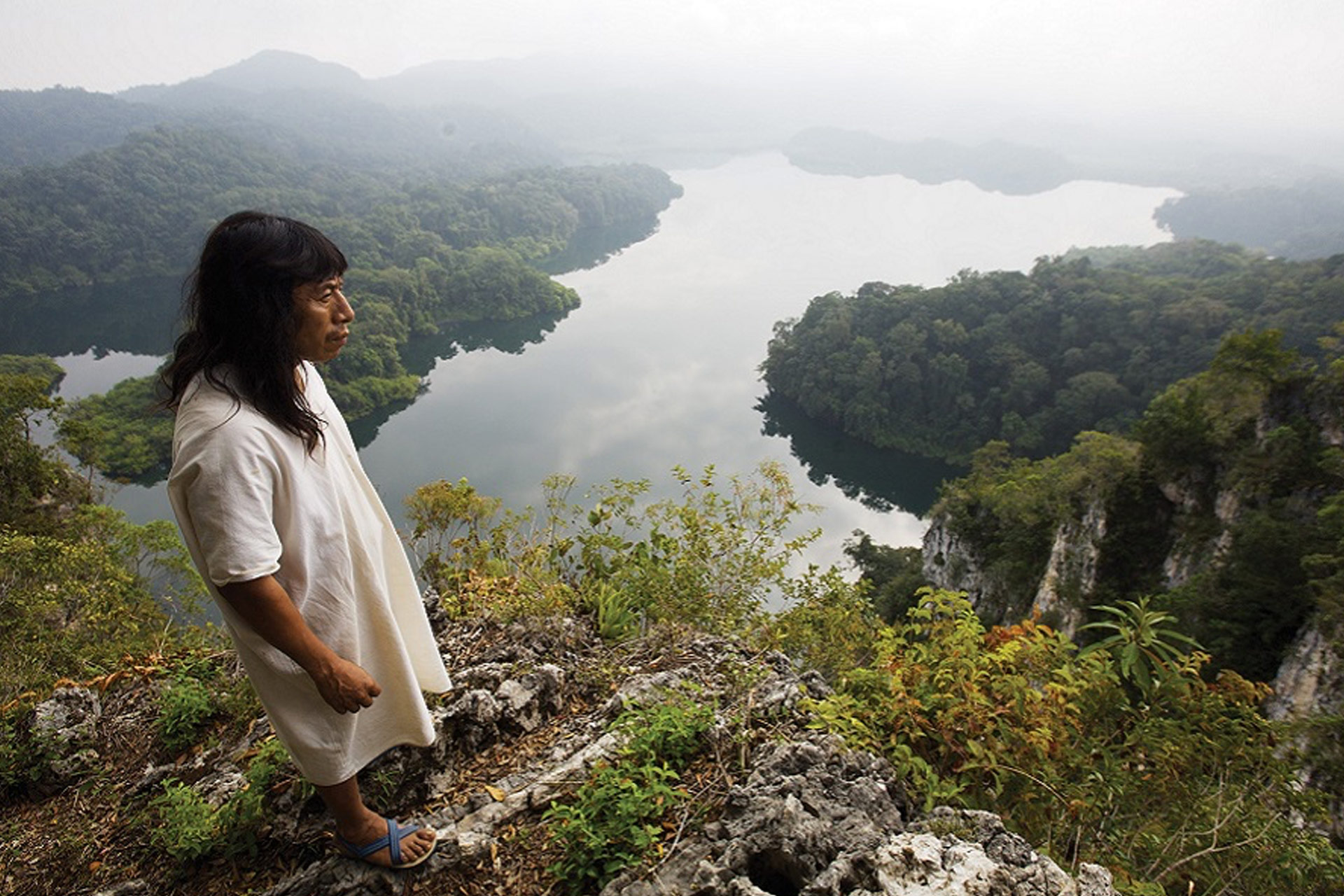 lacanja chansayab – Selva