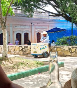 Traslado Tren Maya a Hotel en Palenque - foto 4