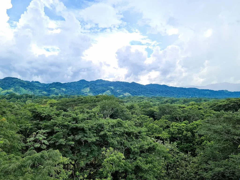 Aluxes y Roberto Barrios