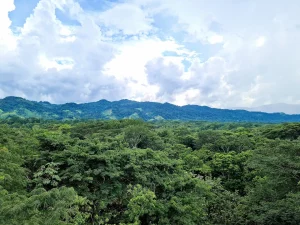 Aluxes y Roberto Barrios - foto 6