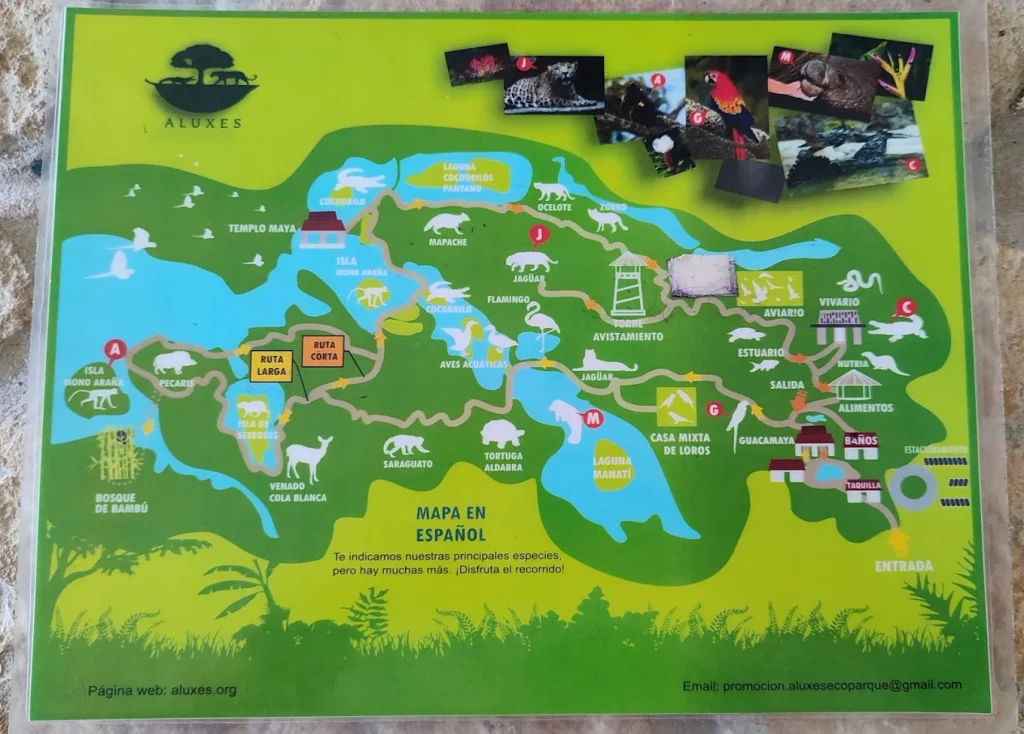 Aluxes y Roberto Barrios